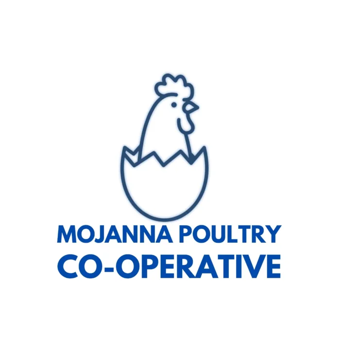 Mojanna Poultry Primary Co-Operative Limited - Blouberg - South Africa 1 Featured image
