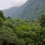 The Heights of Nsork National Park - Equatorial Guinea 10 The Heights of Nsork National Park – Equatorial Guinea