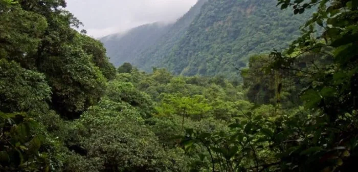 The Heights of Nsork National Park - Equatorial Guinea 6 Featured image