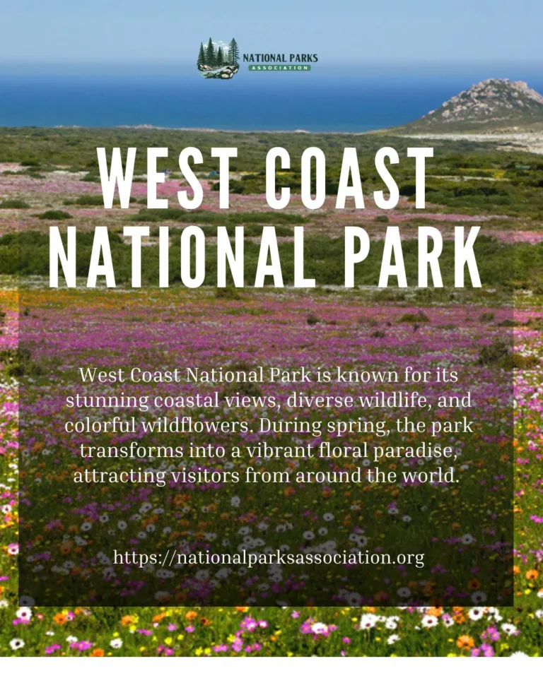 National Parks Association - Irving - Texas 4 Nationals Parks 02 768x960