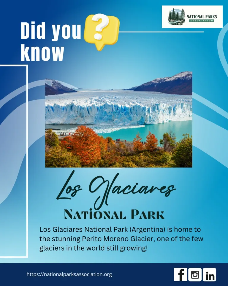 National Parks Association - Irving - Texas 3 Nationals Parks 03 768x960