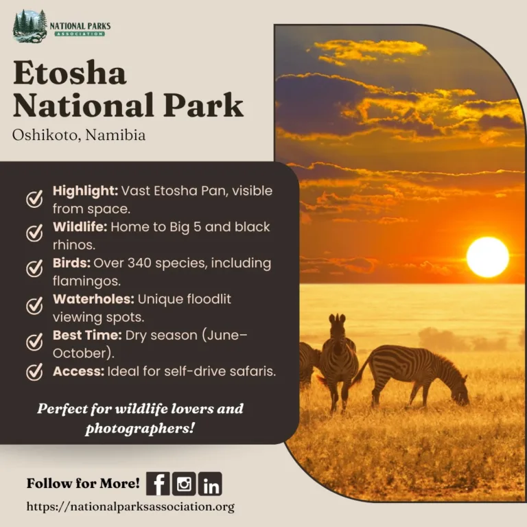 National Parks Association - Irving - Texas 2 Nationals Parks 04 768x768