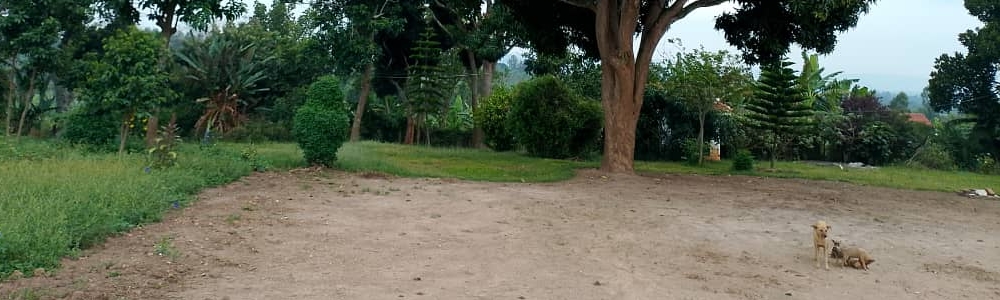 Users 19 User banner image