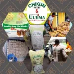 Olam Feed & Hatchery Mill – Abuja – Nigeria