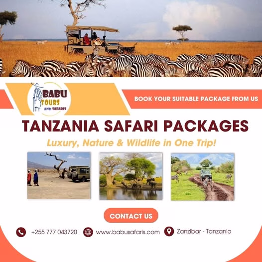 Zanzibar Tours Packages - Zanzibar - Tanzania 3 Featured image