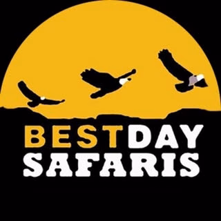 Bestday Safaris - Arusha - Tanzania 2 Featured image