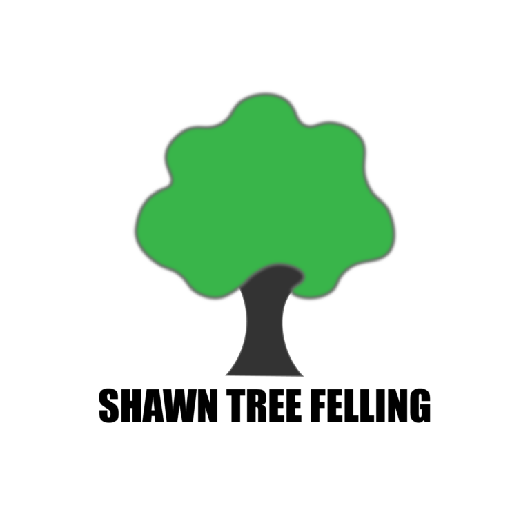 shawn tree felling logo small 768x768