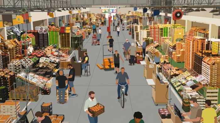 DCCI Modern wholesale market infrastructure model for Botswana economic diversification