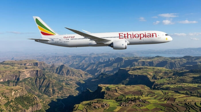 Ethiopia B2B trade hub illustration - Coffee Aviation and Industrial Parks