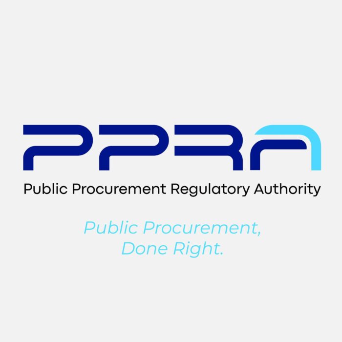 PPADB Botswana: How to Register as a Supplier and Win Government Contracts 1