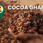 Sovereign Cocoa: Architecting Ghana’s Industrial Value Chain through the DCCI Framework 4 Featured image