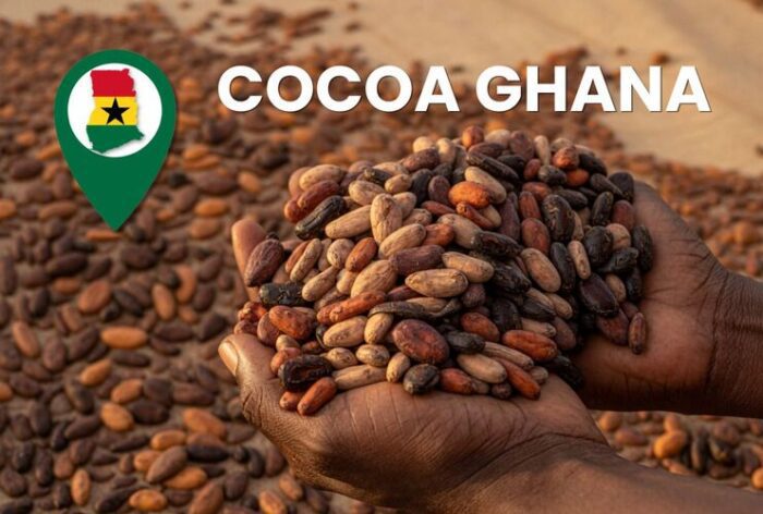 Sovereign Cocoa: Architecting Ghana’s Industrial Value Chain through the DCCI Framework