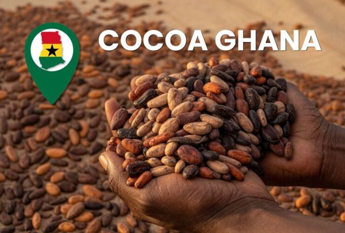 Sovereign Cocoa: Architecting Ghana’s Industrial Value Chain through the DCCI Framework 1 Featured image