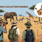 Sovereign Hospitality: Architecting Namibia’s Sustainable Tourism Value Chain with Gondwana Collection 3 Featured image