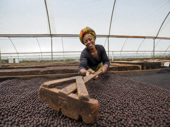 The Aroma of Resilience: How Kyagalanyi Coffee is Modernizing Uganda’s Global Trade 1