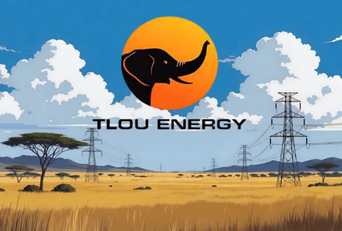 The Power of Tenacity: How Tlou Energy is Lighting Up Botswana’s Industrial Future