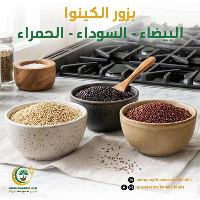 Mawasem Albaraka from website 1 768x768
