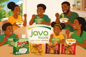Agribusiness in Zambia: Java Foods & DCCI Success