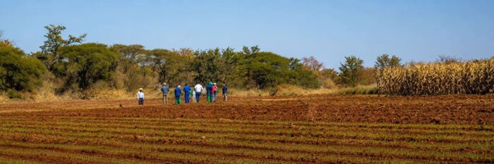 The Architects of African Food Security: A Strategic Assessment of Seed Co Limited 1