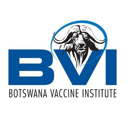 BVI Logo